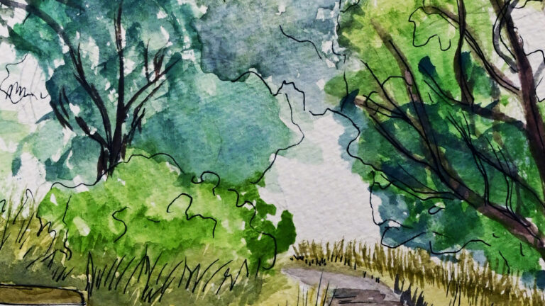 Landscape Architecture (AA)