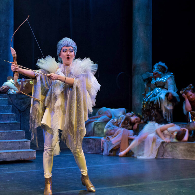 Costume Design BFA Degree Program Academy of Art University